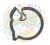 81cdf19354caefe3caf8d799f9a6e51c